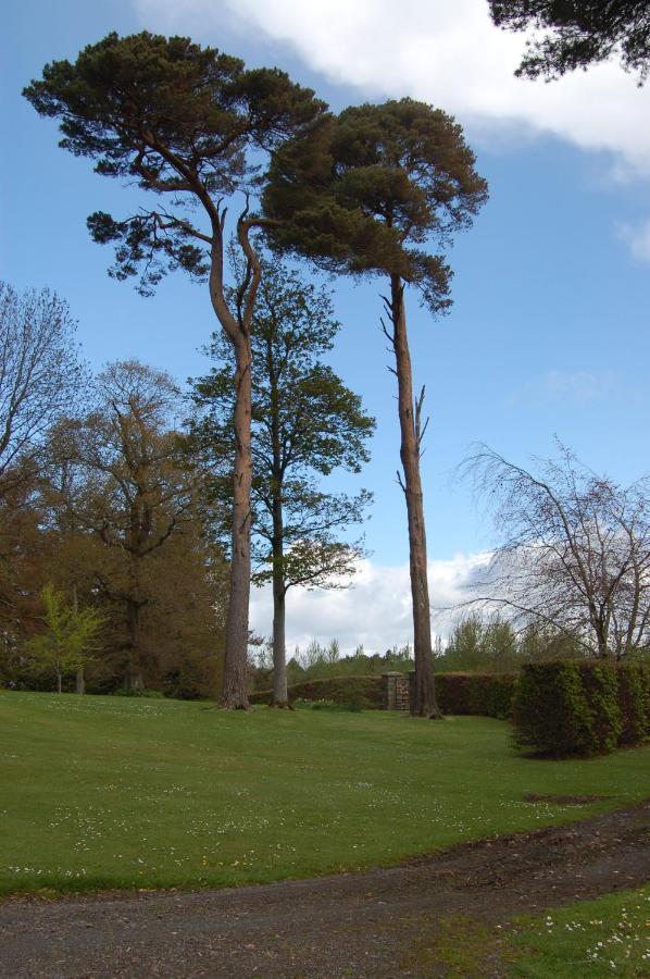 Ballydugan Country House Downpatrick Exterior photo