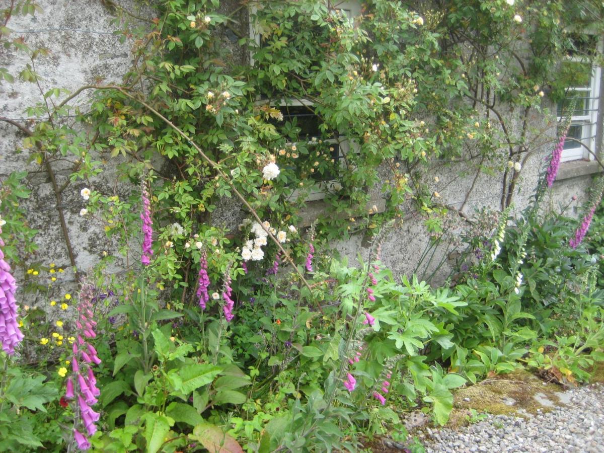 Ballydugan Country House Downpatrick Exterior photo